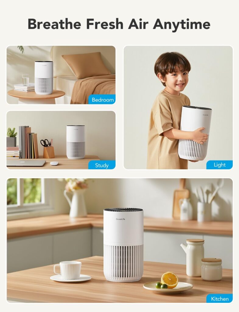 GoveeLife Mini air purifier 2