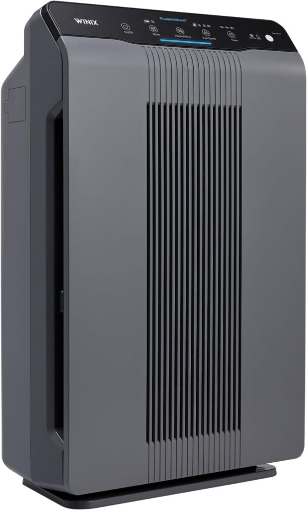 Winix 5300 2 air purifier