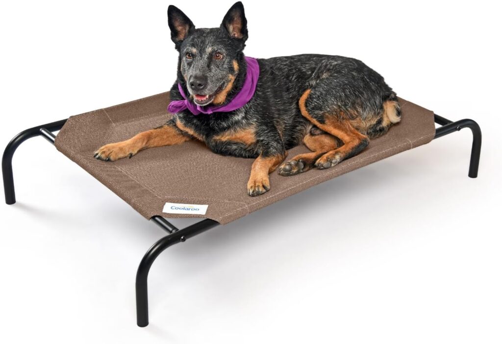 Coolaro original cooling elevated dog bed